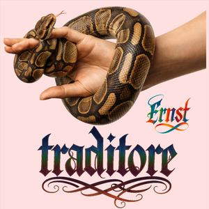 Traditore