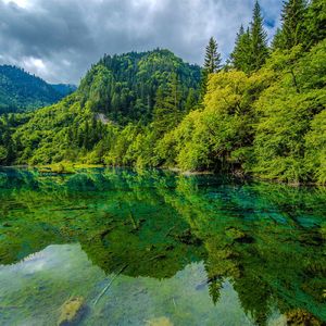 山水一色13