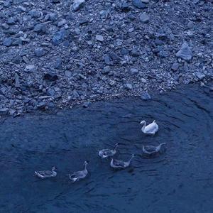 奇妙能力歌（翻自 文昕昕）