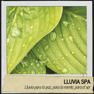 Salpicaduras de lluvia