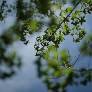 见字如面·吾卿