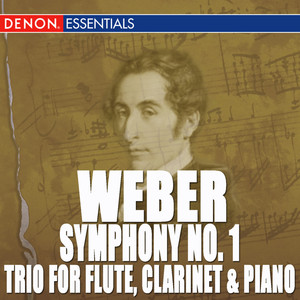 Trio in G Minor, Op. 63: I. Allegro moderato