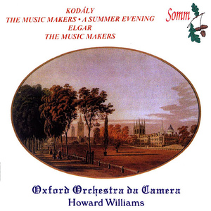 Nyari este (Summer Evening)