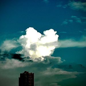 Froggy-下雪了（King Typist remix）