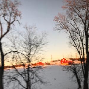 cold brings you in