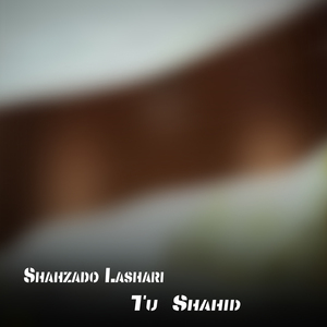 tu shahid