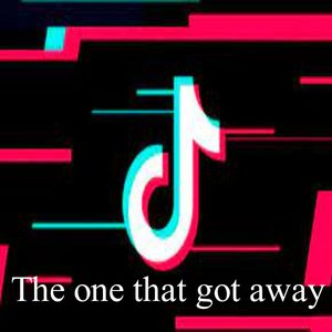 The one that got away-Tik Tok