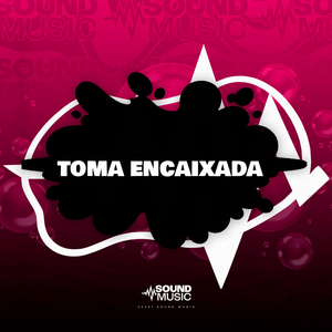 TOMA ENCAIXADA