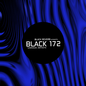 Black Beak (Original Mix)