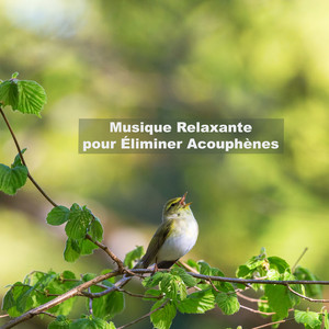 Musique Relaxante pour Éliminer Acouphènes (Lisible en boucle)