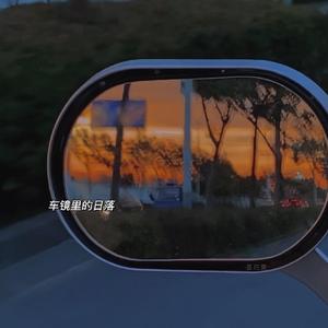 白月光与朱砂痣（抖音）