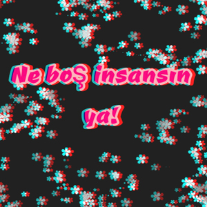 Ne Boş İnsansın Ya!