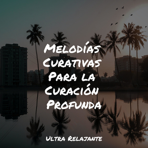 Dicha En La Niebla