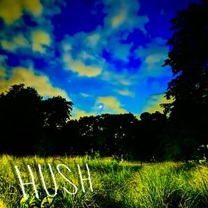 Hush (New Distraction)