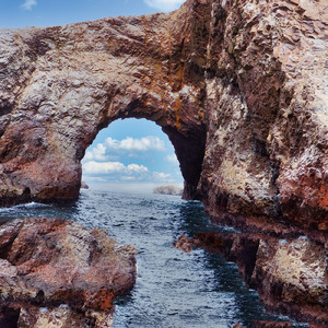 心の在り処を探して