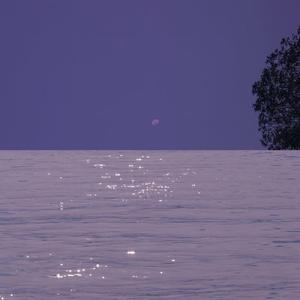 爱到悲哀 prod by FRESH_ye