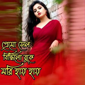 প্রেমো শেল বিন্ধিলো বুকে মরি হায় হায় । Premo Sek Bindhilo Buke Mori Hay Hay