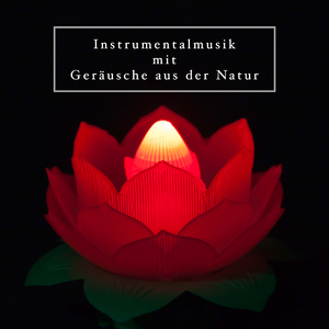 Yoga Meditation Music