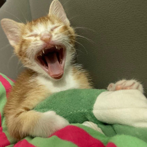 你是我最信任的人