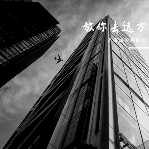 放你去远方