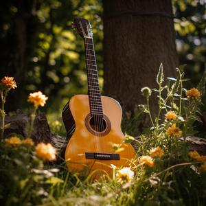 Flowers (Guitar Instrumental)