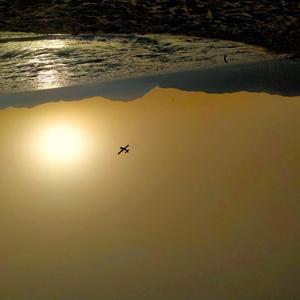 Il mondo del sottosopra