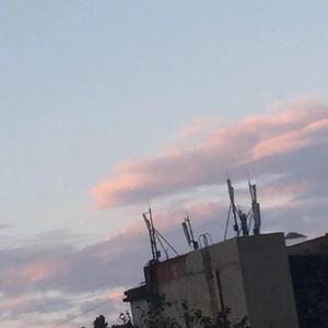 不想 Prod.By PUNISHME