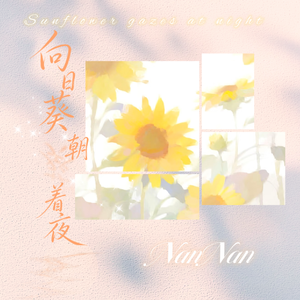 向日葵朝着夜