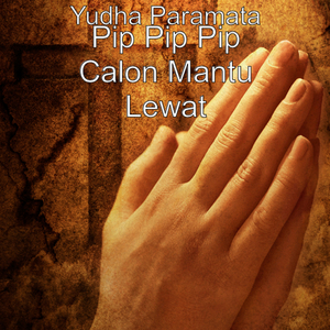 Pip Pip Pip Calon Mantu lewat