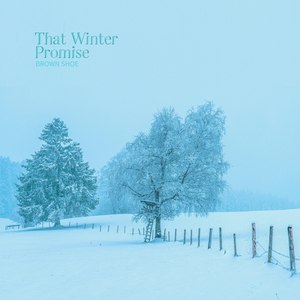 눈꽃 피어난 길