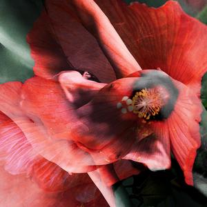 Osiria