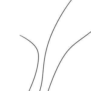 雨后伴随草坪的味道