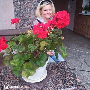 Юбилей (feat. Александр Зоря, Gromilod & RedRaven)