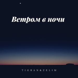 Ветром в ночи