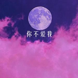 你不爱我