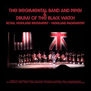 The Black Bear Highland Laddie