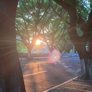 麦浪间的乡村静谣