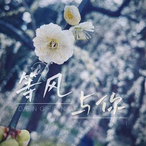 等风与你