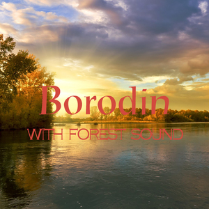 Borodin ： Petite Suite - Nocturne (보로딘 ： 작은 모음곡 - 야상곡)