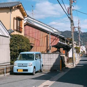 你的城市我的影子