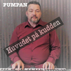 Huvudet på kudden