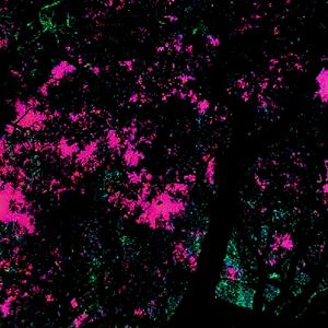 bitCRUSH (feat. Bopo)