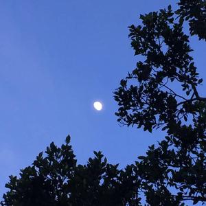 EMO BOY.(Prod By LilSiren)