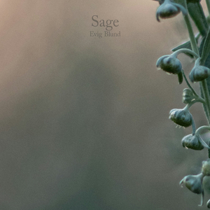 Sage