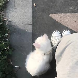 phonekiss（remix）