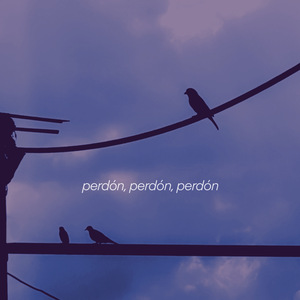 Perdón, Perdón, Perdón