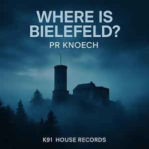 Where is Bielefeld ? (Radio Edit)