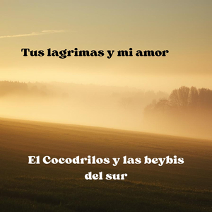 Tus lagrimas y mi amor