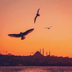 每当我（伴奏纯享版）