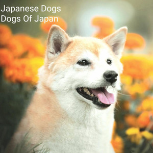 Delgado (Radio Edit)